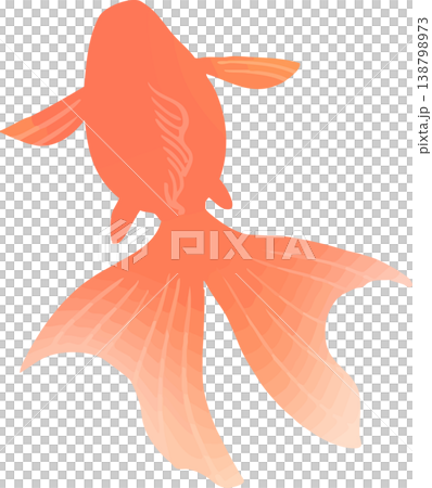 上から見た金魚のイラスト ベクター｜観賞魚・池デザインに使える和風素材 138798973