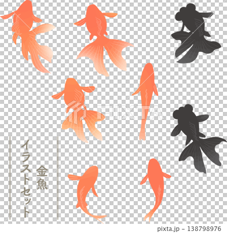 A set of goldfish illustrations viewed from above (vector) | Japanese-style materials usable for ornamental fish and pond layouts A set of goldfish illustrations viewed from above (vector) | Japanese-style materials usable for ornamental fish and pond layouts 138798976