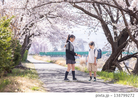 桜の下で戯れて遊ぶ小学生 桜の下で戯れて遊ぶ小学生 138799272