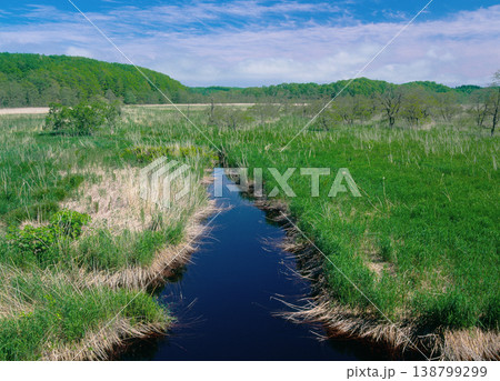 十勝海岸の湿原(北海道・大樹町) 十勝海岸の湿原(北海道・大樹町) 138799299