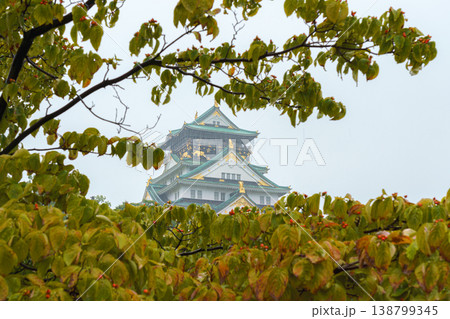 Osaka, Japan - Sep 22 2024, Panoramic view of Osaka Castle among the trees, from behind the fortress wall and the foliage of the trees, on a rainy day, without people, Osaka, Japan Osaka, Japan - Sep 22 2024, Panoramic view of Osaka Castle among the trees, from behind the fortress wall and the foliage of the trees, on a rainy day, without people, Osaka, Japan 138799345