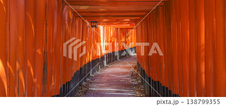 Kyoto, Japan - Sep 23 2024, Panoramic view of the corridor of the Senbon red Torii Gate at Fushimi Inari Temple, at daytime, without people, Kyoto, Japan 138799355