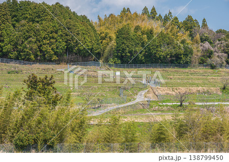 春の棚田風景　滋賀県大津市仰木 138799450
