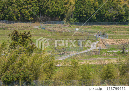 春の棚田風景 滋賀県大津市仰木 春の棚田風景 滋賀県大津市仰木 138799451