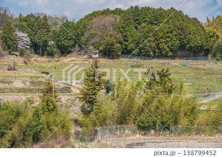 春の棚田風景 滋賀県大津市仰木 春の棚田風景 滋賀県大津市仰木 138799452