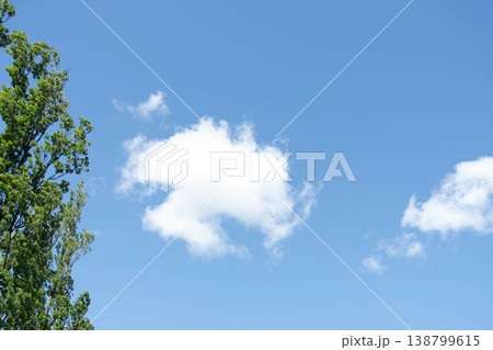 青空と白い雲と新緑の木々の風景 コピースペース 青空と白い雲と新緑の木々の風景 コピースペース 138799615