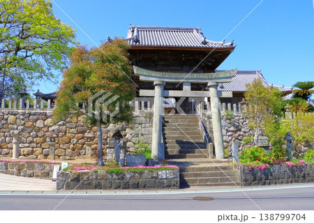日出若宮八幡神社(大分県日出町) 日出若宮八幡神社(大分県日出町) 138799704