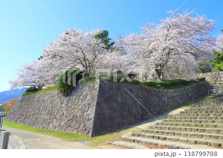 春の日出城址(大分県日出町) 春の日出城址(大分県日出町) 138799708