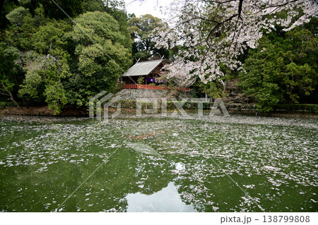 高鴨神社 【奈良県御所市】 高鴨神社 【奈良県御所市】 138799808