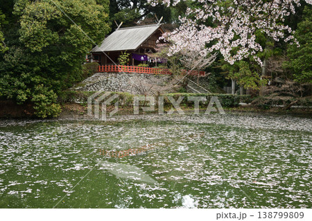 高鴨神社　【奈良県御所市】 138799809