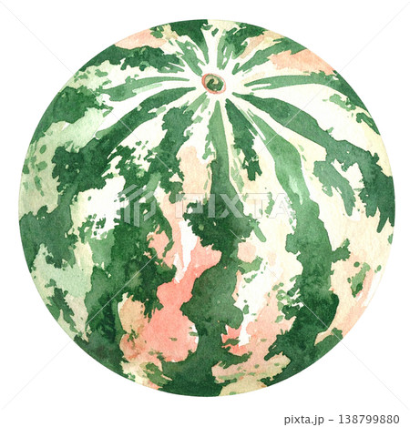 スイカの水彩画イラスト(夏の素材、くだもの) スイカの水彩画イラスト(夏の素材、くだもの) 138799880