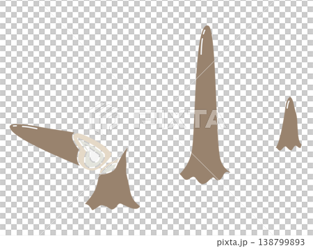 ポップなプロトタキシーテスのイラスト 138799893