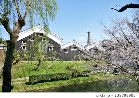 春の濠川を進む十石舟と伏見の酒蔵　【京都府京都市伏見区】 138799903