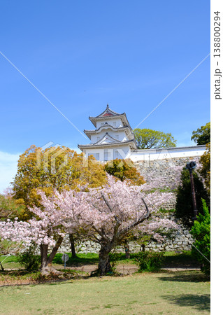 兵庫県明石市・桜が満開の明石城の櫓 138800294