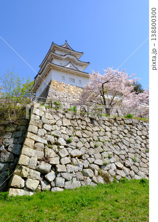 兵庫県明石市・桜が満開の明石城の櫓 138800300