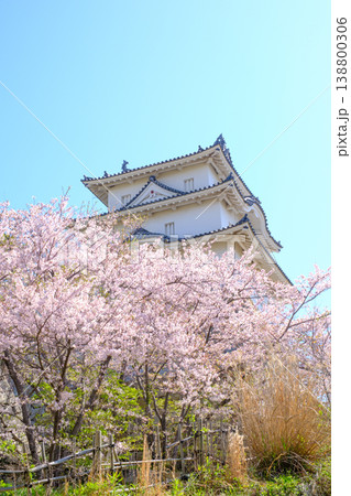 兵庫県明石市・桜が満開の明石城の櫓 兵庫県明石市・桜が満開の明石城の櫓 138800306