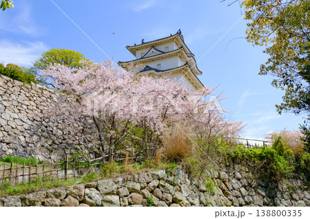 兵庫県明石市・桜が満開の明石城の櫓 兵庫県明石市・桜が満開の明石城の櫓 138800335