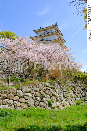 兵庫県明石市・桜が満開の明石城の櫓 兵庫県明石市・桜が満開の明石城の櫓 138800336