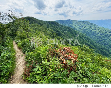 登山道からの医王山の山頂 登山道からの医王山の山頂 138800612