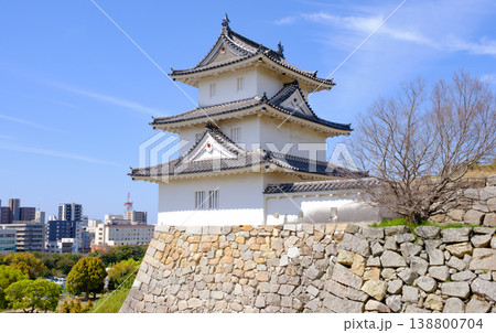晴天下の明石城の石垣と櫓と明石市内 138800704