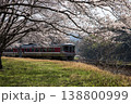 桜とはまかぜ 138800999