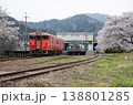 桜の竹野駅 138801285