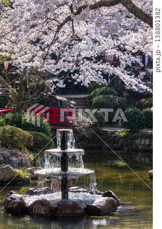 桜の名所の打吹公園の噴水と花びらが浮かぶ池と満開の桜の風景 桜の名所の打吹公園の噴水と花びらが浮かぶ池と満開の桜の風景 138801382