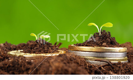 Plants grow from soil and coins to show the idea of investing in nature and money Plants grow from soil and coins to show the idea of investing in nature and money 138801920