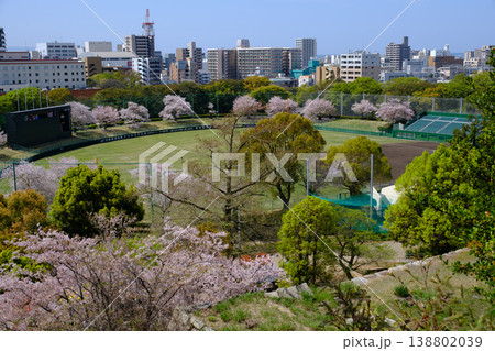 兵庫県・明石城から見た明石市内と野球場 兵庫県・明石城から見た明石市内と野球場 138802039