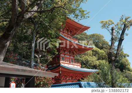 神戸・須磨寺・三重塔 神戸・須磨寺・三重塔 138802172