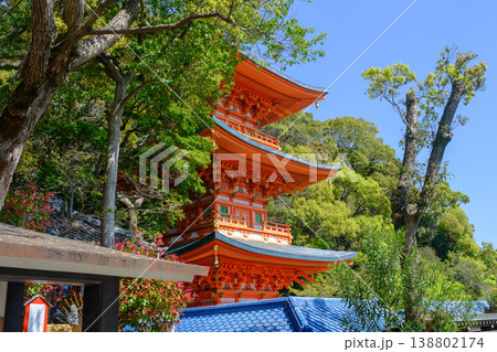 神戸・須磨寺・三重塔 神戸・須磨寺・三重塔 138802174
