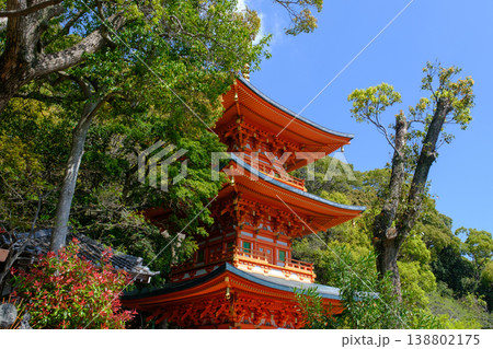 神戸・須磨寺・三重塔 神戸・須磨寺・三重塔 138802175