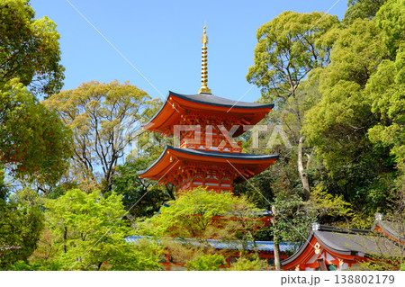 神戸・須磨寺・三重塔 神戸・須磨寺・三重塔 138802179