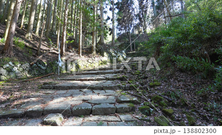岩村城址 岩村城址 138802300