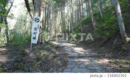岩村城址 岩村城址 138802301