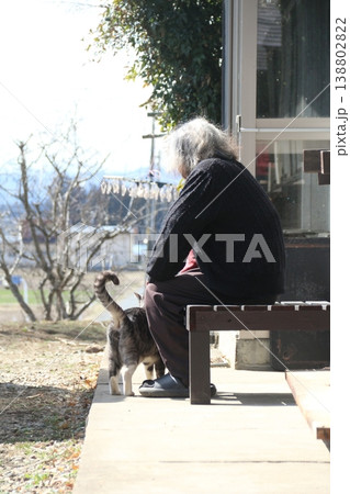 縁側で座る老人と猫 縁側で座る老人と猫 138802822