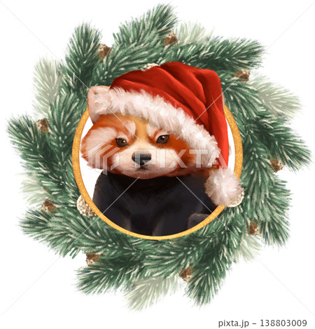 Illustration of an adorable red panda wearing a Santa hat, framed within a golden circle inside a lush Christmas pine wreath. Perfect for holiday greeting cards, stickers, or winter decor. Hand drawn 138803009