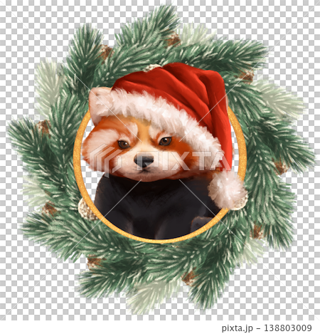 Illustration of an adorable red panda wearing a Santa hat, framed within a golden circle inside a lush Christmas pine wreath. Perfect for holiday greeting cards, stickers, or winter decor. Hand drawn 138803009