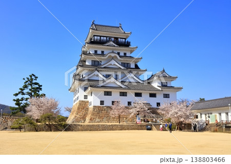 【広島県】桜咲く春の福山城(復興後)福山城桜まつり 【広島県】桜咲く春の福山城(復興後)福山城桜まつり 138803466