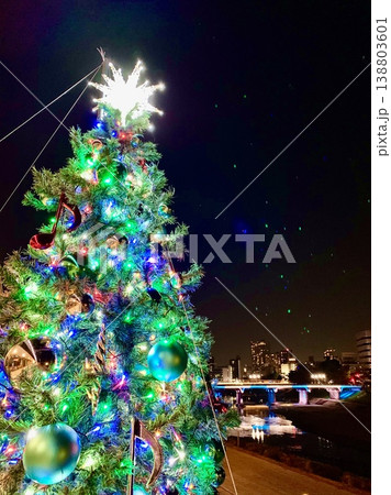 オトリバーサイドテラスを彩るクリスマスツリー越しに見るライトアップされた明代橋〈愛知県岡崎市〉 オトリバーサイドテラスを彩るクリスマスツリー越しに見るライトアップされた明代橋〈愛知県岡崎市〉 138803601