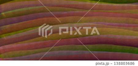 Abstract Fluid Waves Pattern with Textured Earthy Tones. Organic Layered Stripes Background in Muted Purple and Green. Soft Painterly Wavy Lines Decorative Art Surface 138803686