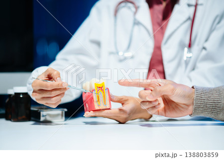 The dentist explains dental care using a model with a smiling patient. The dentist explains dental care using a model with a smiling patient. 138803859