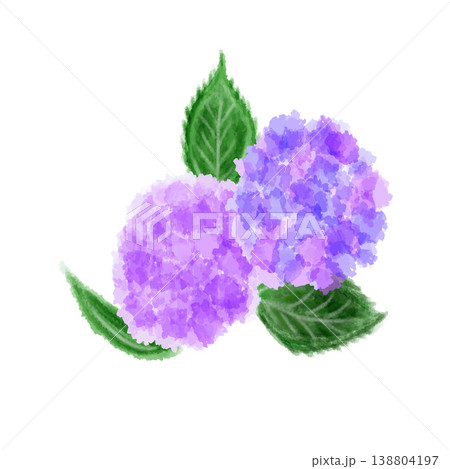 水彩画風の紫陽花 138804197