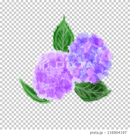水彩画風の紫陽花 138804197