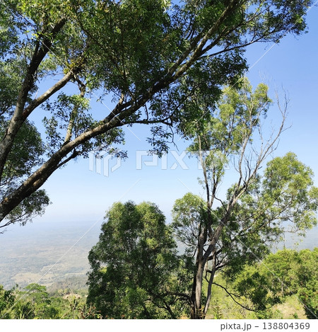 trees at the top of the hill with a bright blue sky in the background trees at the top of the hill with a bright blue sky in the background 138804369