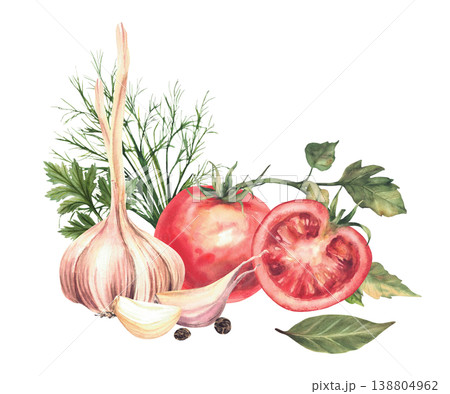 Tomatoes with garlic bulb, cloves, dill, bay leaves and black peppercorns. Watercolor set of fresh vegetables and herbs for marinating or pickling mix. Hand drawn illustration isolated from background 138804962