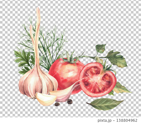 Tomatoes with garlic bulb, cloves, dill, bay leaves and black peppercorns. Watercolor set of fresh vegetables and herbs for marinating or pickling mix. Hand drawn illustration isolated from background 138804962
