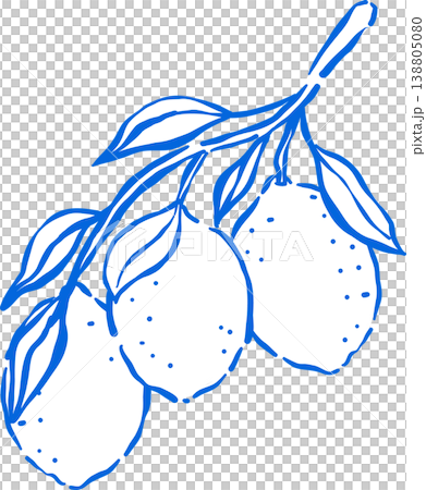 Hand drawn Lemon Outline with stem and leaf Whimsical Doodle 138805080