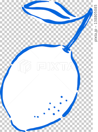 Hand drawn Lemon Outline with stem and leaf Whimsical Doodle 138805085