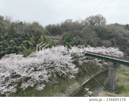 黒川橋りょうと桜 満開の春 曇天のしっとり風景 香川県三豊市 138805178